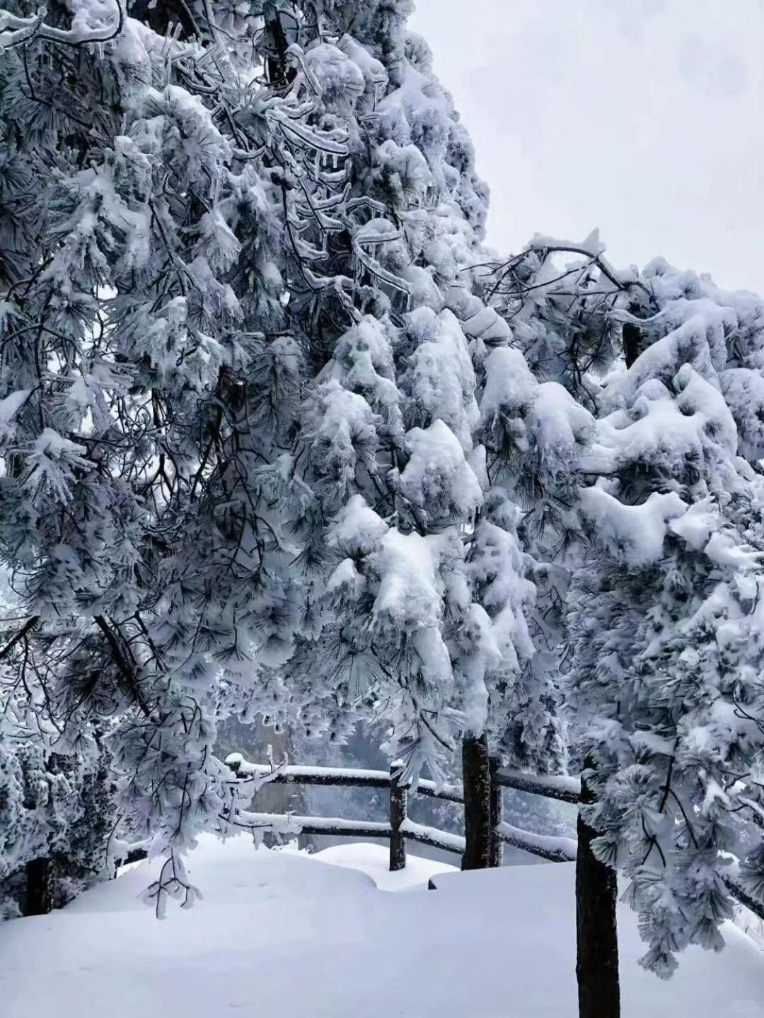 Zhangjiajie Tingyutang Little Yard Bagian luar foto