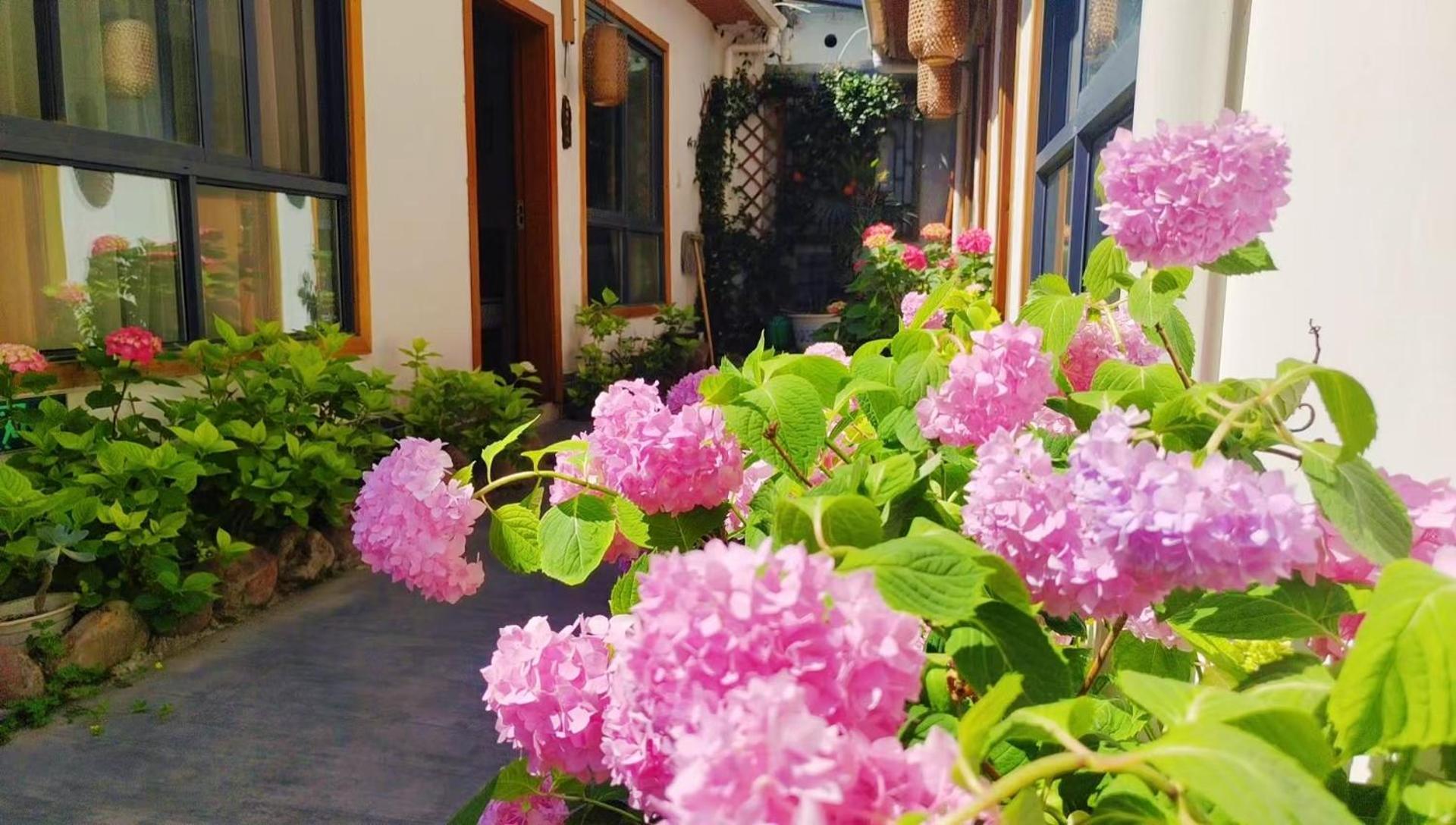 Zhangjiajie Tingyutang Little Yard Bagian luar foto